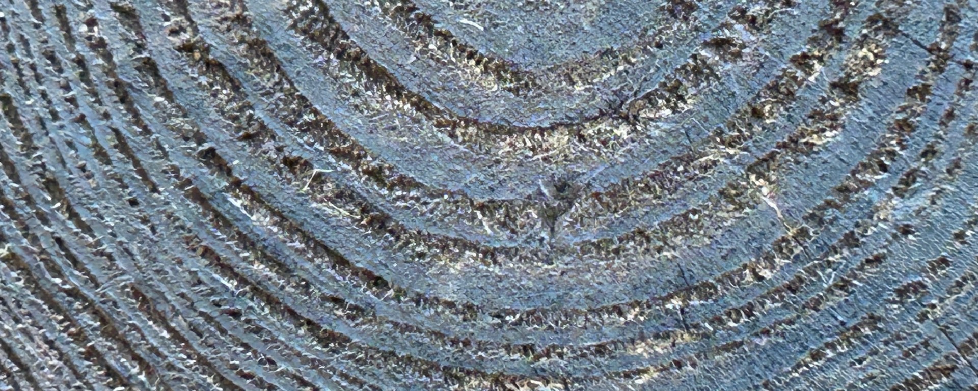 Close up of wood grain from the end of a floor plank in an old print shop, soaked with ink and chemicals that exaggerate the grain.