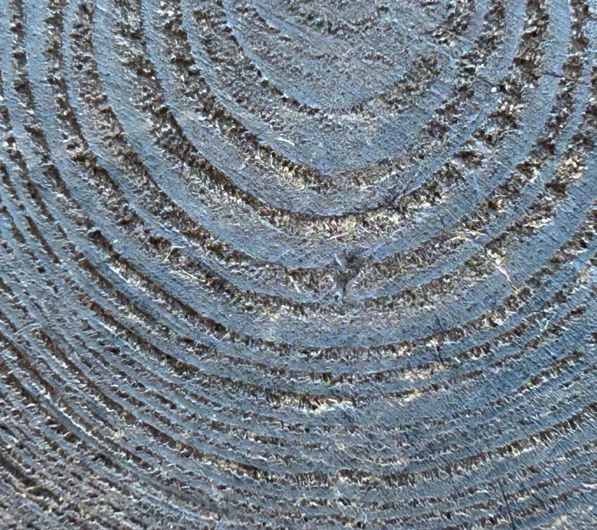 Close up of wood grain from the end of a floor plank in an old print shop, soaked with ink and chemicals that exaggerate the grain.